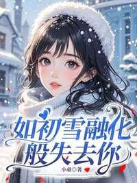 如初雪融化般失去你在线阅读