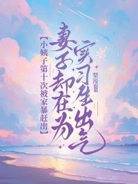 小姨子第十次被家暴赶出，妻子却在为实习生出气在线阅读