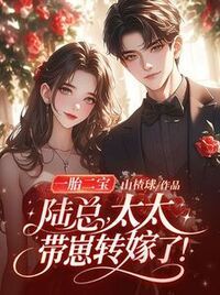 一胎二宝：陆总，太太带崽转嫁了！在线阅读