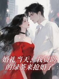婚礼当天，我资助的绿茶来抢婚了在线阅读