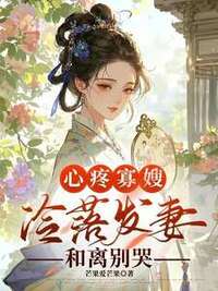 心疼寡嫂冷落发妻，和离别哭在线阅读