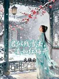 君似残雪去，妾如红梅开在线阅读