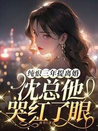 纯恨三年提离婚，沈总他哭红了眼在线阅读