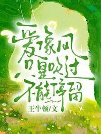 爱像风只是吹过不能停留在线阅读