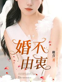 沈姝齐曜在线阅读