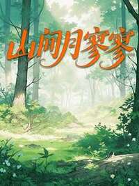 山间月寥寥在线阅读