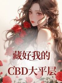 藏好我的CBD大平层在线阅读