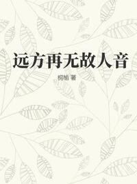 远方再无故人音在线阅读