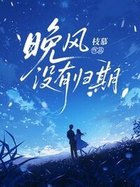 晚风没有归期在线阅读