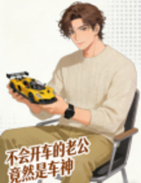 不会开车的老公竟然是车神在线阅读