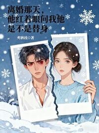 离婚那天，他红着眼问我他是不是替身在线阅读