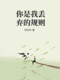 你是我丢弃的规则在线阅读