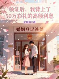 领证后，我背上了50万彩礼的高额利息在线阅读