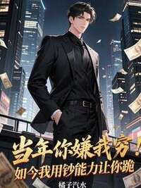 当年你嫌我穷，如今我用钞能力让你跪在线阅读