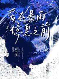 爱在暴雨停息之前在线阅读