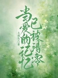 当爱的记忆已被清零在线阅读