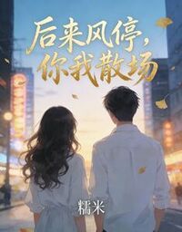 后来风停，你我散场在线阅读