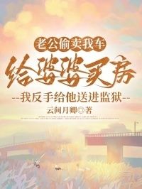 老公偷卖我车给婆婆买房，我反手给他送进监狱在线阅读