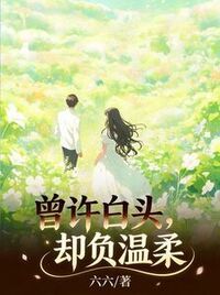 曾许白头，却负温柔在线阅读