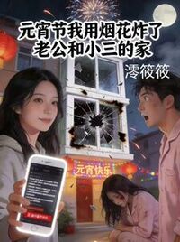 元宵节我用烟花炸了老公和小三的家在线阅读