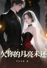 欠你的月亮未还在线阅读