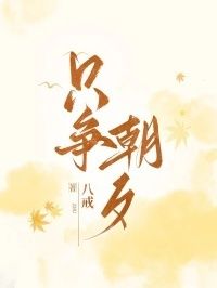 只争朝夕在线阅读