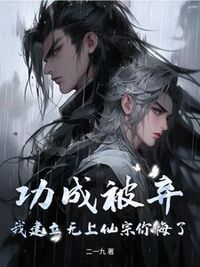功成被弃，我建立无上仙宗你悔了？在线阅读