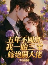 五年不圆房，我一胎三宝嫁绝嗣大佬在线阅读