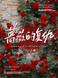 许盈盈陈辰在线阅读