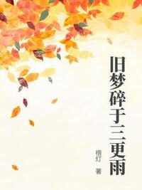 旧梦碎于三更雨在线阅读