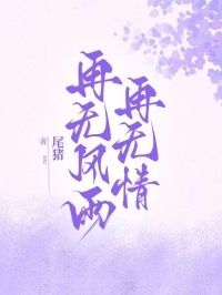 再无风雨再无情在线阅读