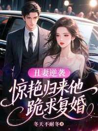 丑妻逆袭，惊艳归来他跪求复婚在线阅读