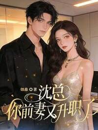 沈总，你前妻又升职了在线阅读