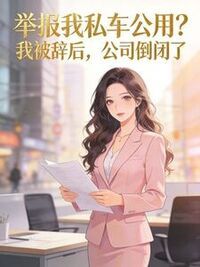 举报我私车公用？我被辞后，公司倒闭了在线阅读