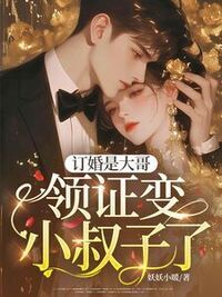 订婚是大哥，领证变小叔子了？在线阅读
