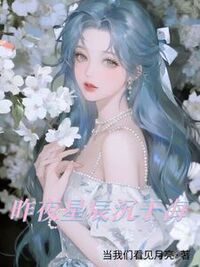 昨夜星辰沉于海在线阅读