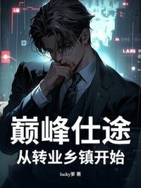 巅峰仕途：从转业乡镇开始在线阅读