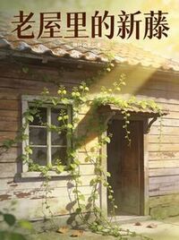 老屋里的新藤在线阅读