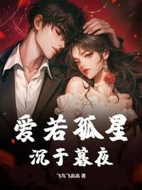 爱若孤星，沉于暮夜在线阅读