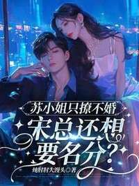 撩完就跑，宋总追着要名分在线阅读