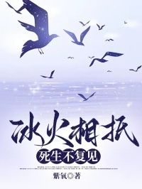 冰火相抵，死生不复见在线阅读
