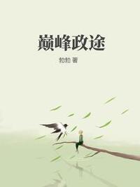 巅峰政途在线阅读