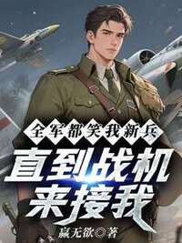 全军都笑我新兵，直到战机来接我在线阅读