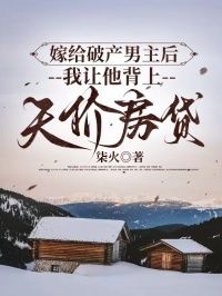 嫁给破产男主后，我让他背上天价房贷在线阅读