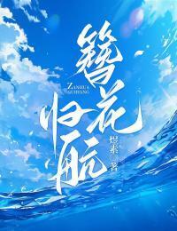 簪花归航在线阅读