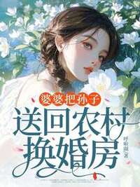 婆婆把孙子送回农村换婚房在线阅读