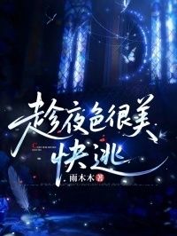趁夜色很美，快逃在线阅读