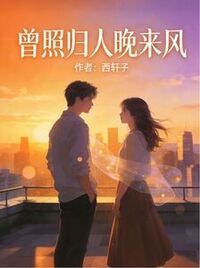 曾照归人晚来风在线阅读