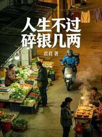 人生不过碎银几两在线阅读