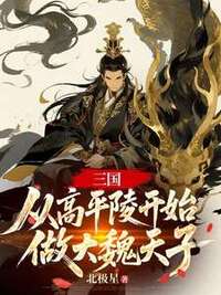 三国：从高平陵开始做大魏天子在线阅读